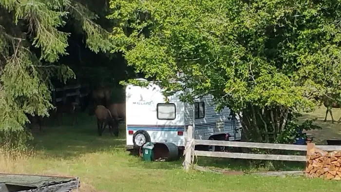 Last Chance Camp Equine Rest Stop Picture 2
