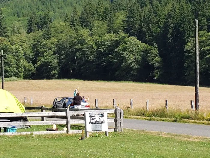 Last Chance Camp Equine Rest Stop Picture 7