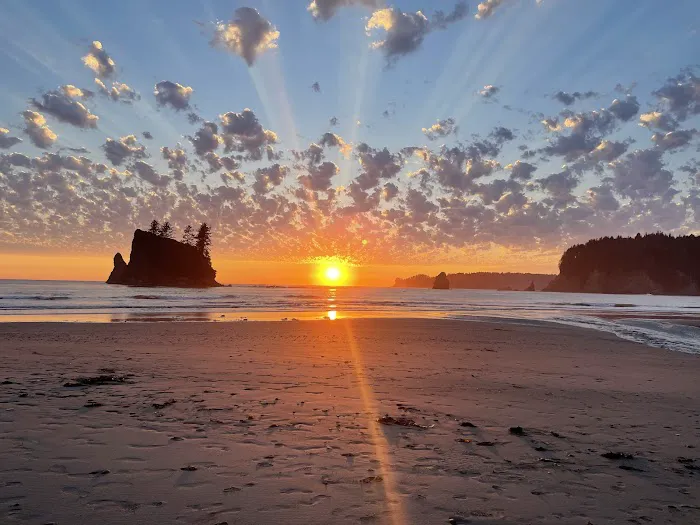 Scott Creek Picture 5