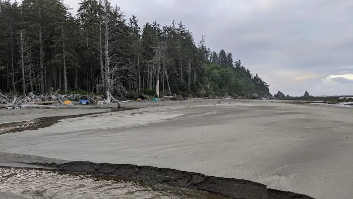 Scott Creek Picture 2