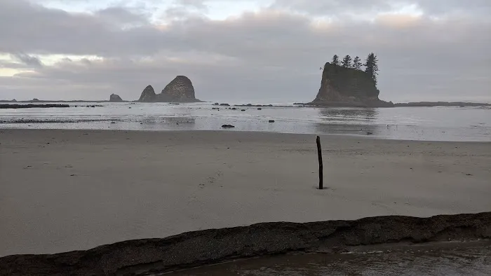 Scott Creek Picture 1