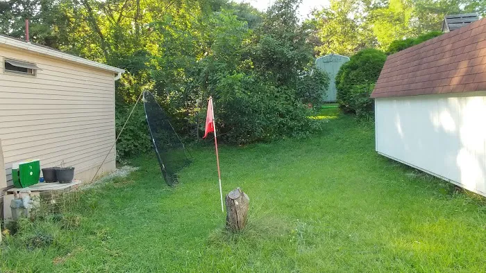 Country Manor West Picture 8