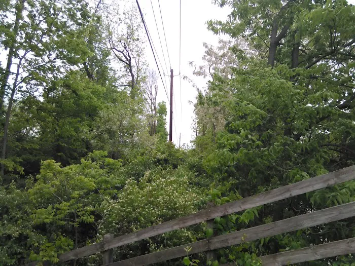 Prior Homestead Camping and RV Picture 1