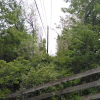 Prior Homestead Camping and RV ico