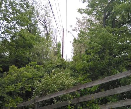 Prior Homestead Camping and RV