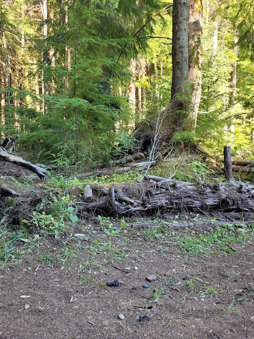 Prior Homestead Camping and RV Picture 4