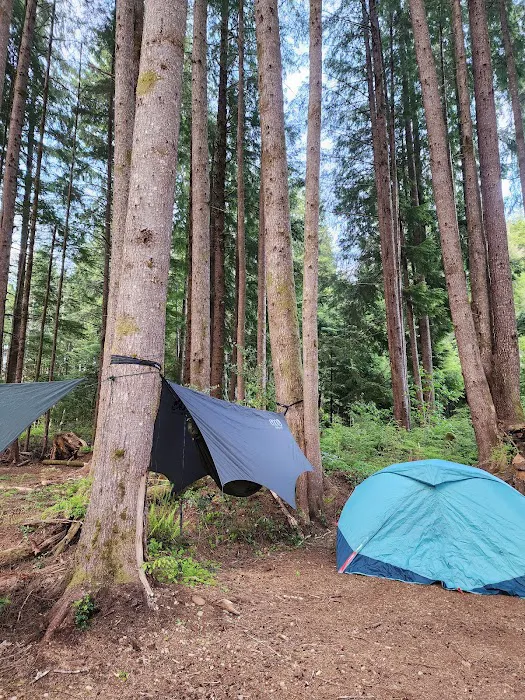 Prior Homestead Camping and RV Picture 6