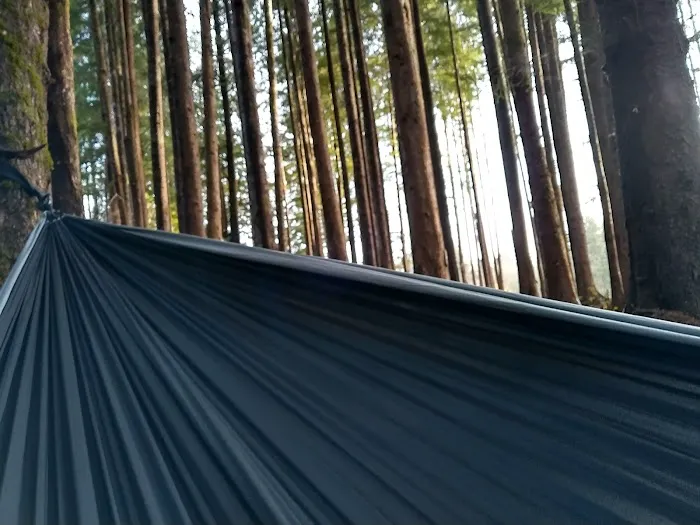 Prior Homestead Camping and RV Picture 9