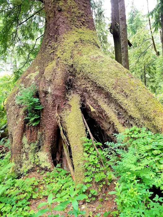 Mora Campground Picture 9