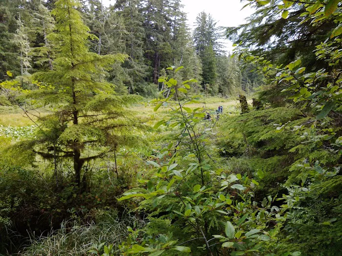 Mora Campground Picture 10