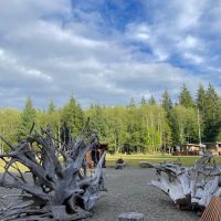 Mossquatch Resort ico