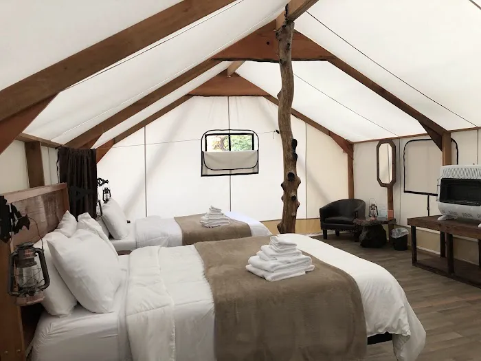 Mossquatch Resort Picture 2