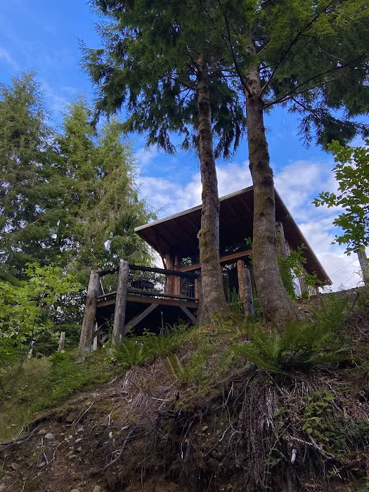 Mossquatch Resort Picture 3