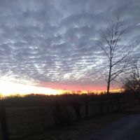Sunshine Mobile Home Park ico