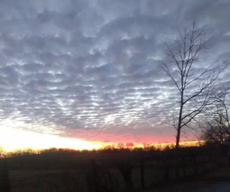 Sunshine Mobile Home Park