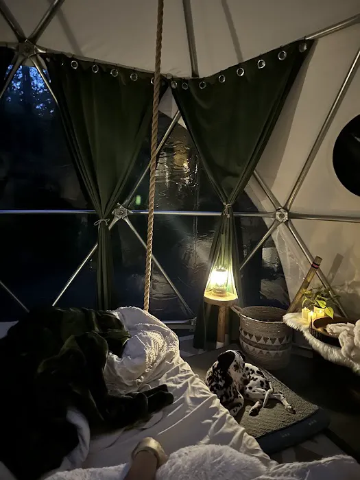 Wandering Woodlands Picture 3