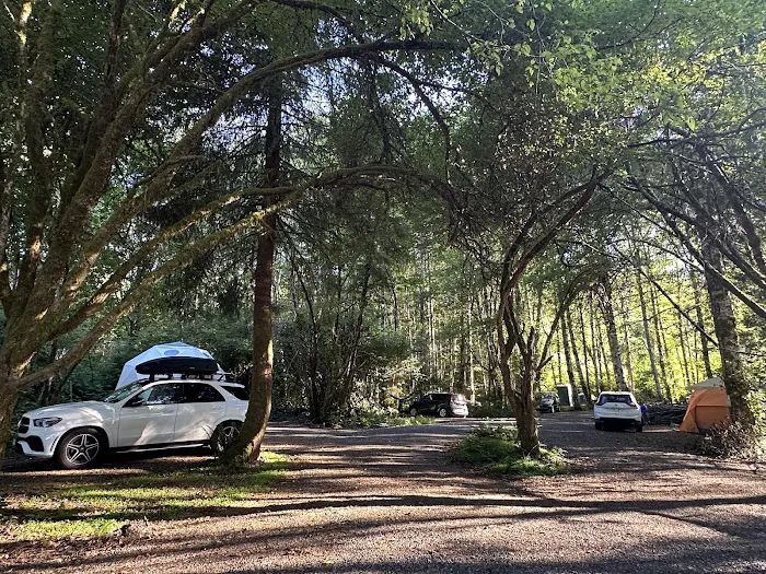 Wandering Woodlands Picture 2