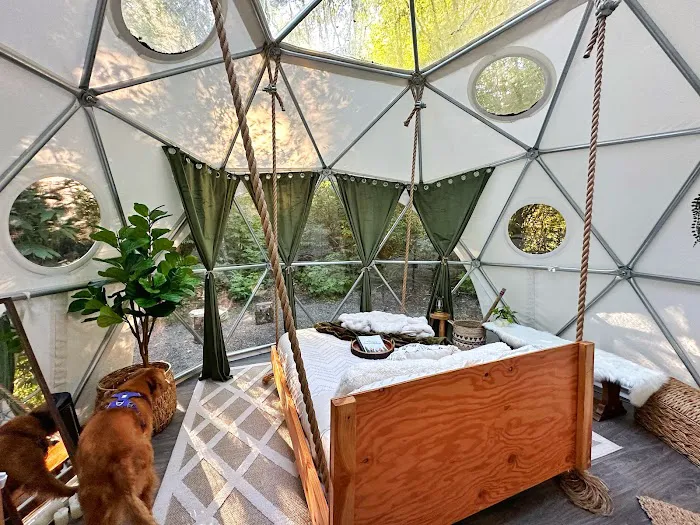 Wandering Woodlands Picture 4