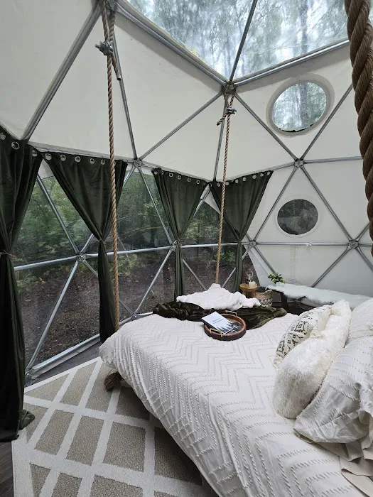 Wandering Woodlands Picture 7