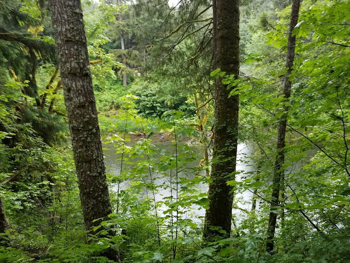 Bear Creek Campground Picture 2