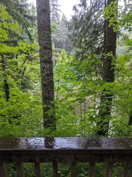 Bear Creek Campground Picture 6