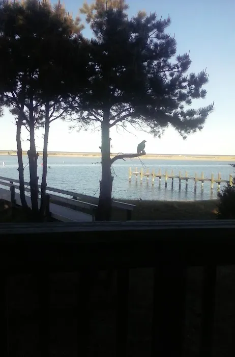 Town & Country Mobile Estates Picture 1