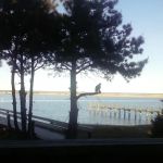 Town & Country Mobile Estates