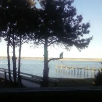 Town & Country Mobile Estates ico