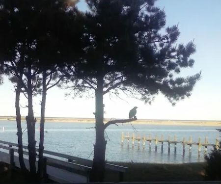 Town & Country Mobile Estates