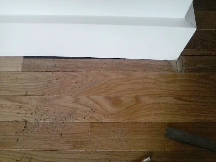 Town & Country Mobile Estates Picture 2