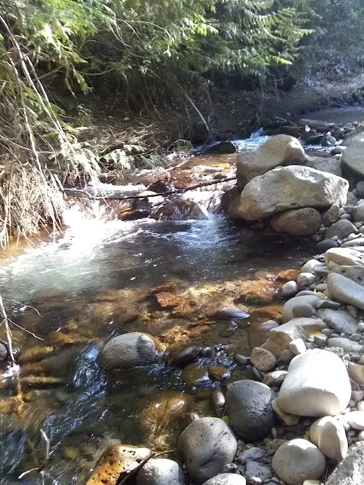 Bird Creek Campground Picture 6