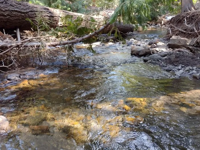 Bird Creek Campground Picture 5