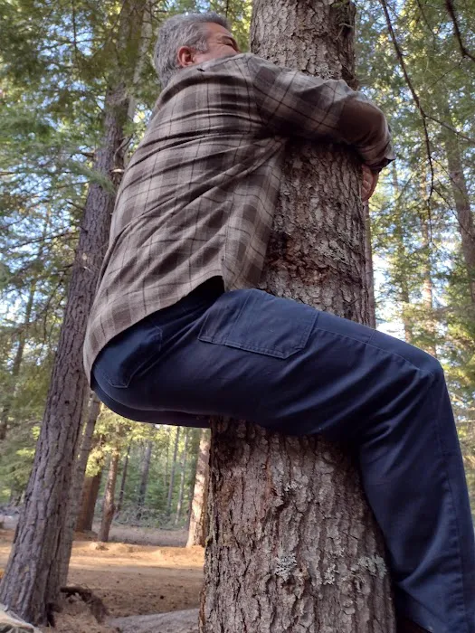 Bird Creek Campground Picture 1