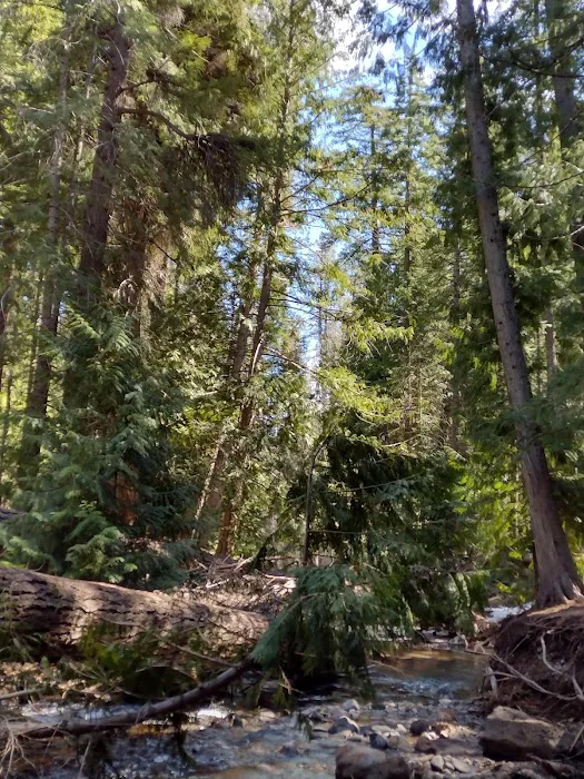 Bird Creek Campground Picture 2