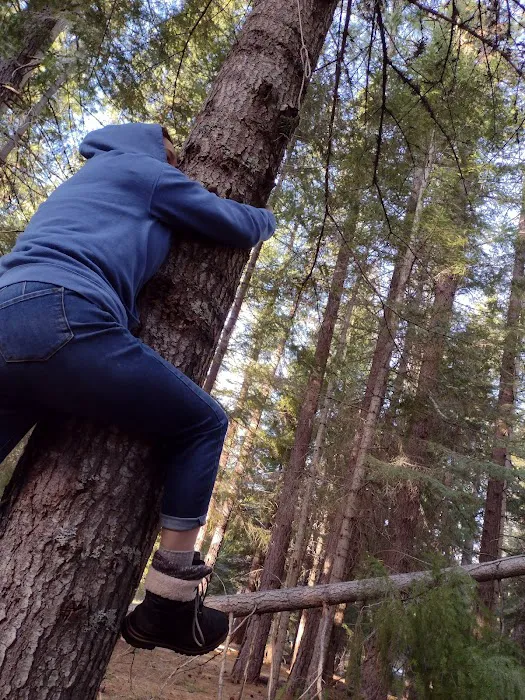 Bird Creek Campground Picture 3