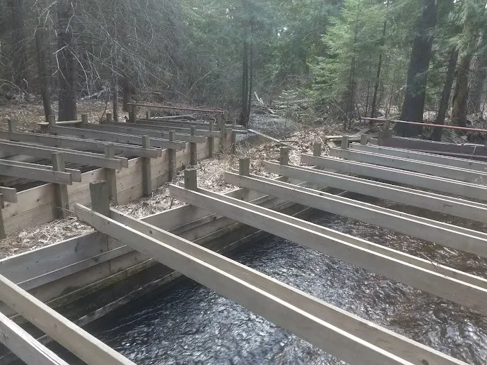 Pinehurst Mobile Home Village Picture 14