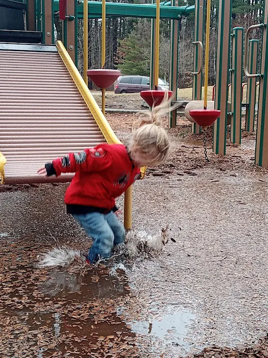 Wellswood Inc Picture 1