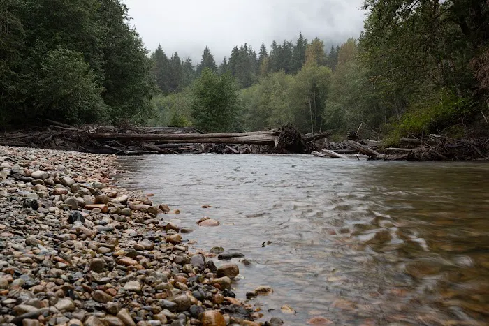 Silver Fir Campground Picture 2