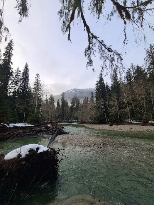 Silver Fir Campground Picture 7
