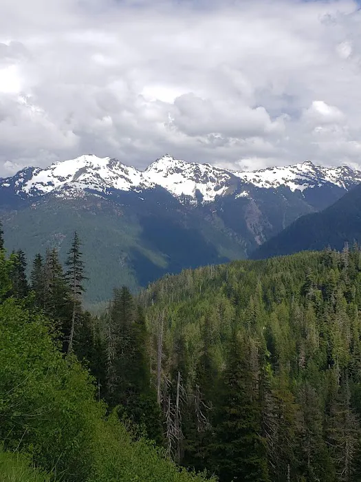 Silver Fir Campground Picture 9