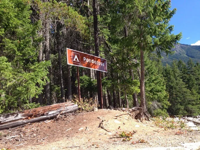 Ponderosa Campground Picture 2