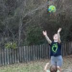 Dover Point Cooperative, Inc.