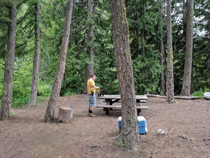 River Bend Campground Picture 1