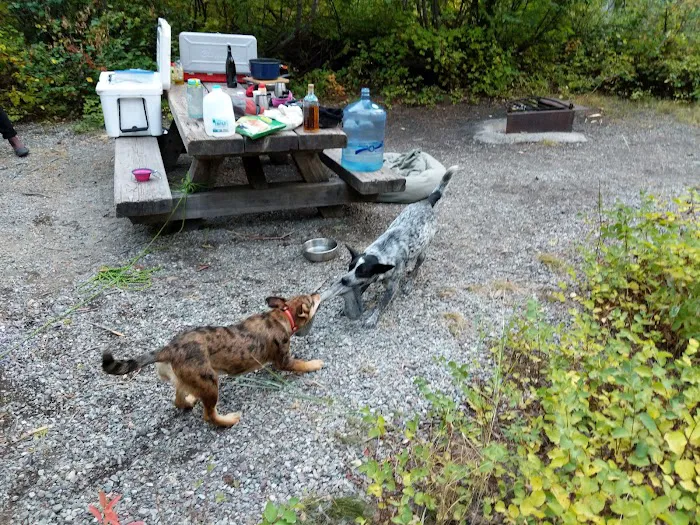 River Bend Campground Picture 6