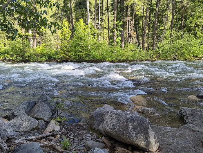 Ballard Campground Picture 5