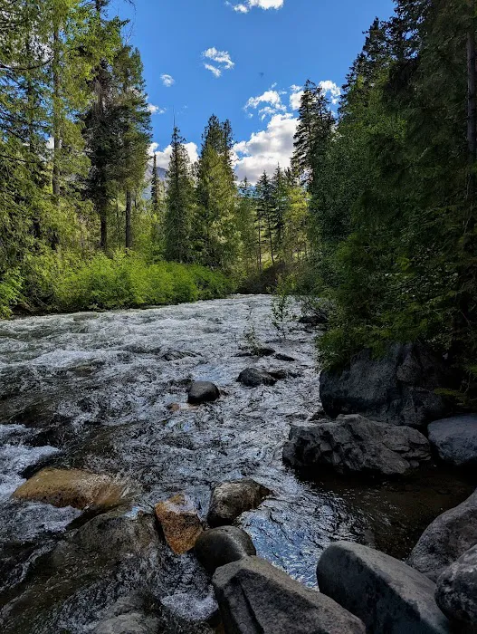 Ballard Campground Picture 2