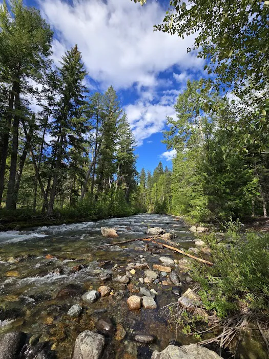 Ballard Campground Picture 4