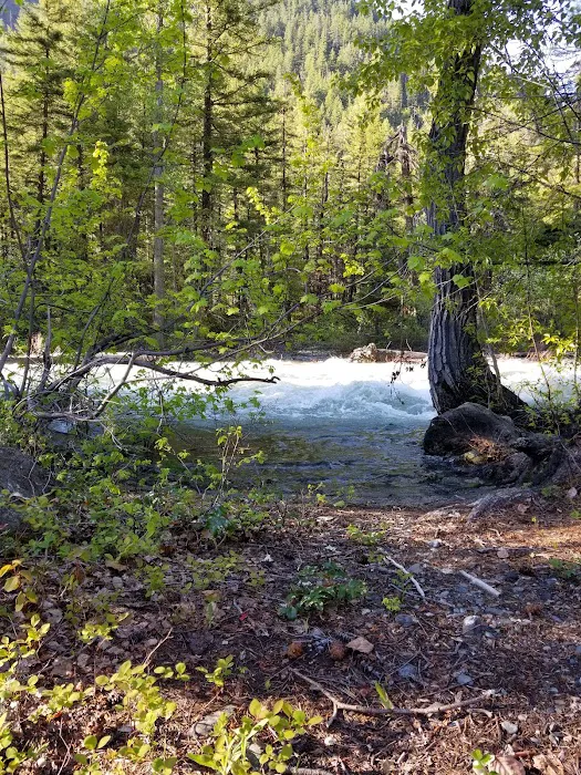 Ballard Campground Picture 6