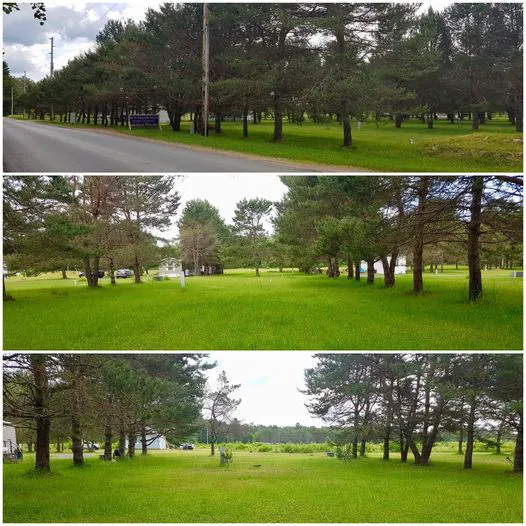 Deer Run Crossing Mobile Home Park Picture 8