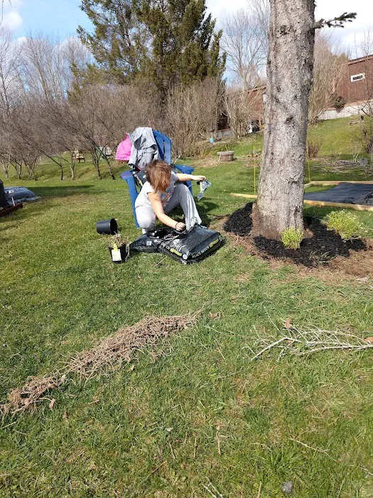 Stoneybrook Mobile Terrace Picture 3